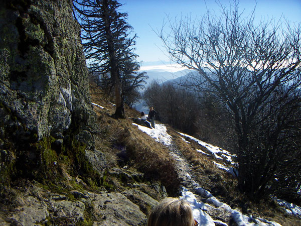 Auf dem Weg zum Belchen - Südseite