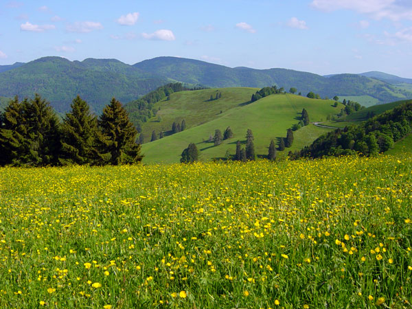 Auf der Winde