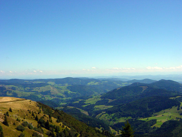 Blick vom Belchen Richtung Kleines Wiesental