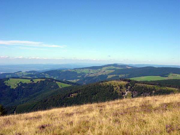 Blick vom Belchen Richtung Schweiz