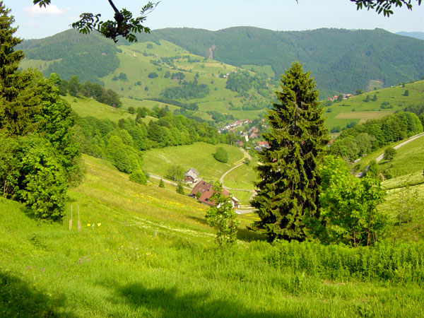 Blick vom Wiedener Eck nach Wieden