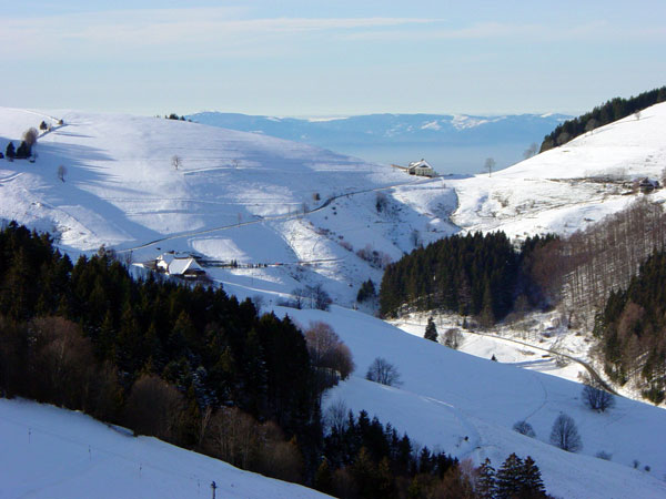 Blick vom Wiedener Eck über die Breitnau auf die Vogesen