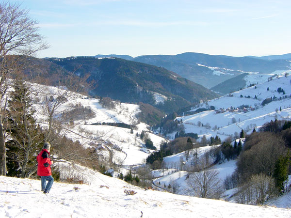 Blick von Wieden Rütte auf Wieden Laitenbach