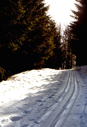 Eine Langlauf Loipe im Loipenzentrum-Hohtann