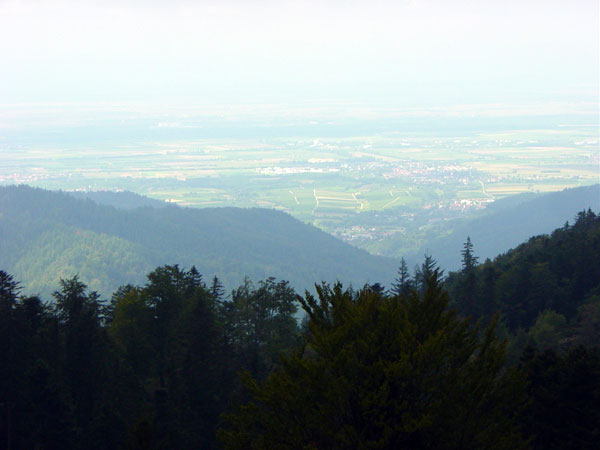 Kälbelescheuer - Blick ins Rheintal