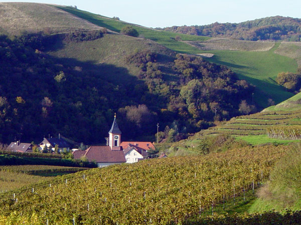 Kaiserstuhl - Alt Vogtsburg