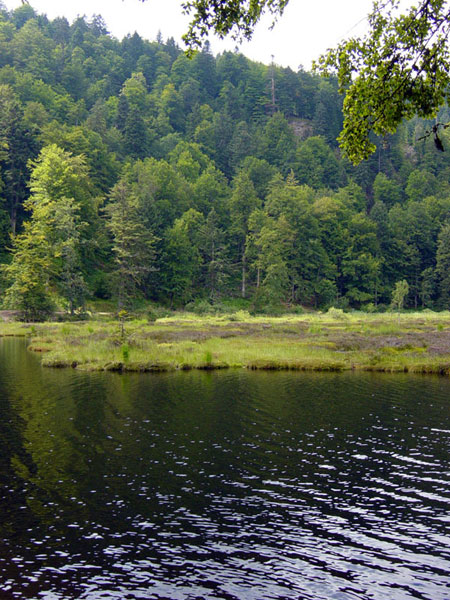 Nonnenmattweiher