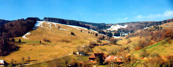 Panoramablick mit dem Bühlhof in der Mitte