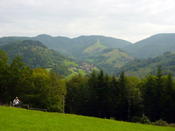 Schönau: am Seppenweg