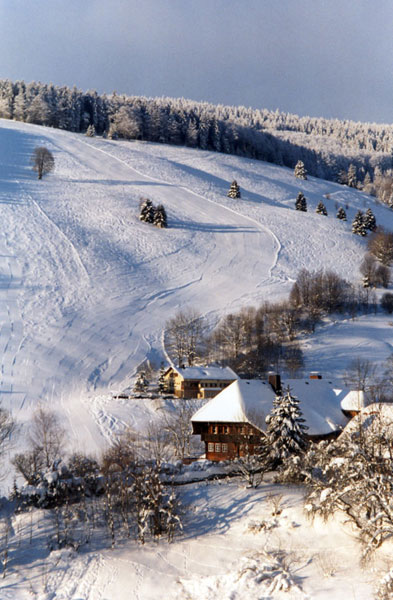 Schwarzwaldhaus Bühlhof im Winter