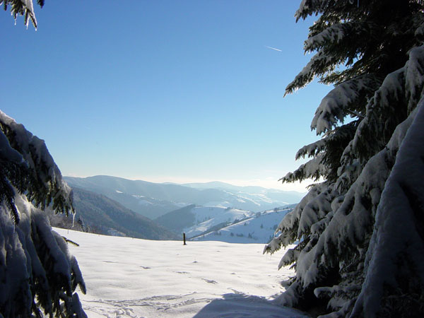 Wieden Rütte