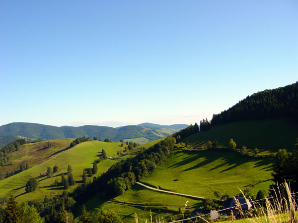 Zwischen Rollsbach und Wieden